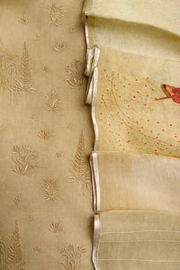 Olive-3 Piece Suit Set