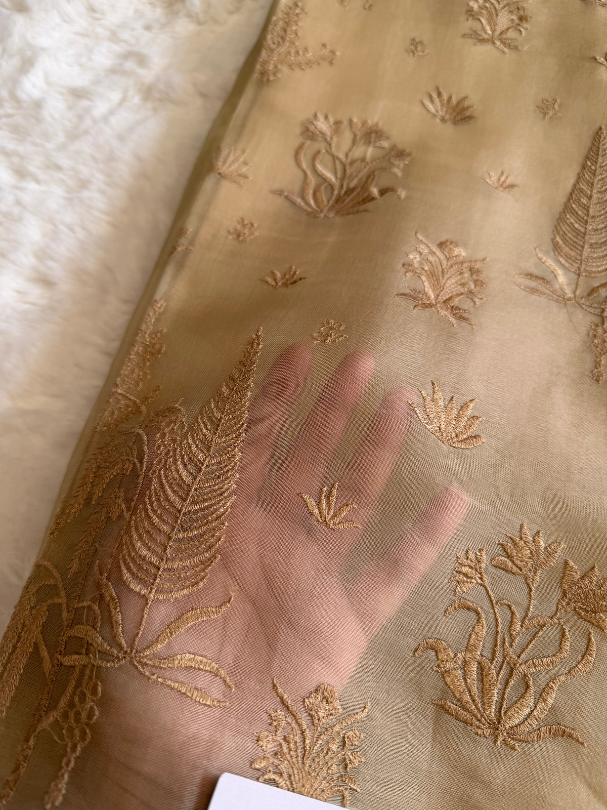 Top pure organza with parsi thread embroidery