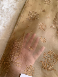 Top pure organza with parsi thread embroidery